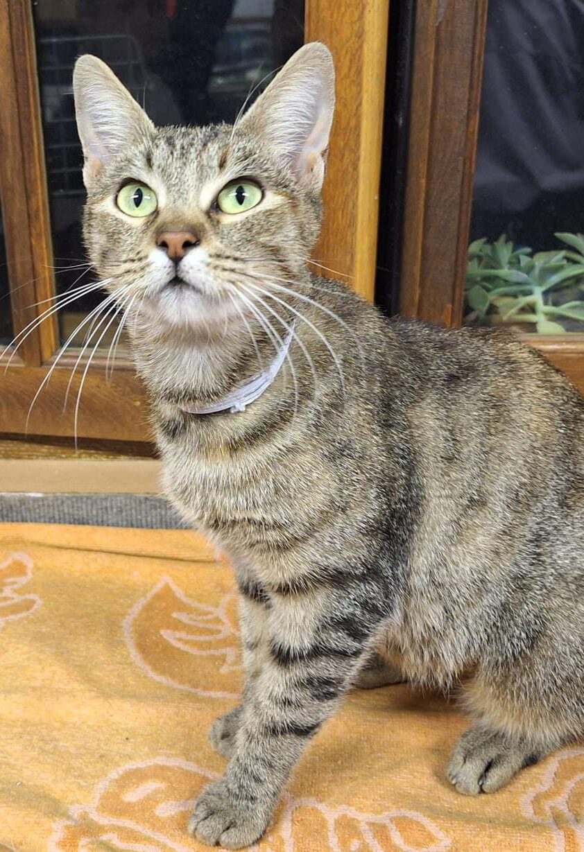 WhatsApp Image 2025-11-04 at 21.37.16