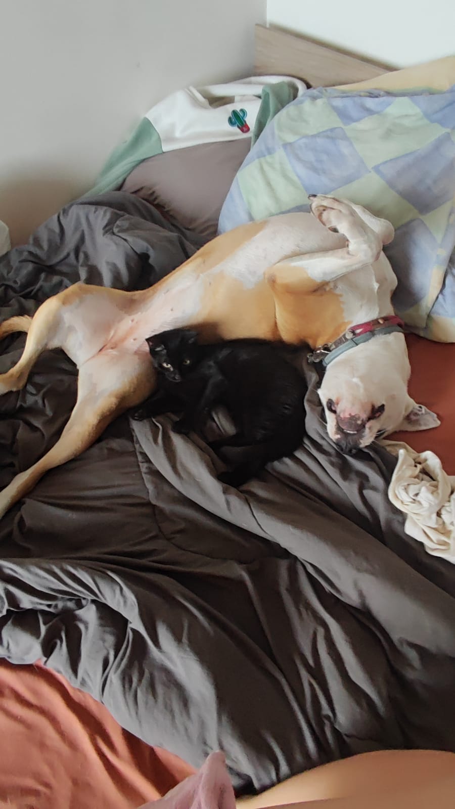 WhatsApp Image 2025-11-06 at 10.44.32 (2)