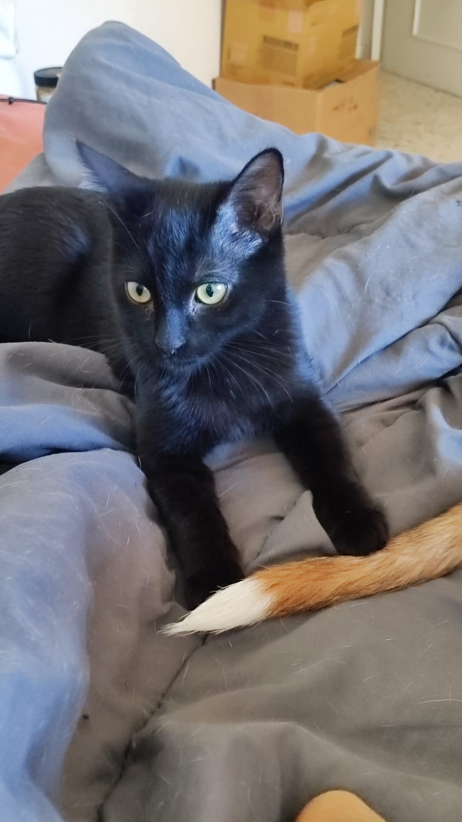 WhatsApp Image 2025-11-06 at 10.44.32 (4)