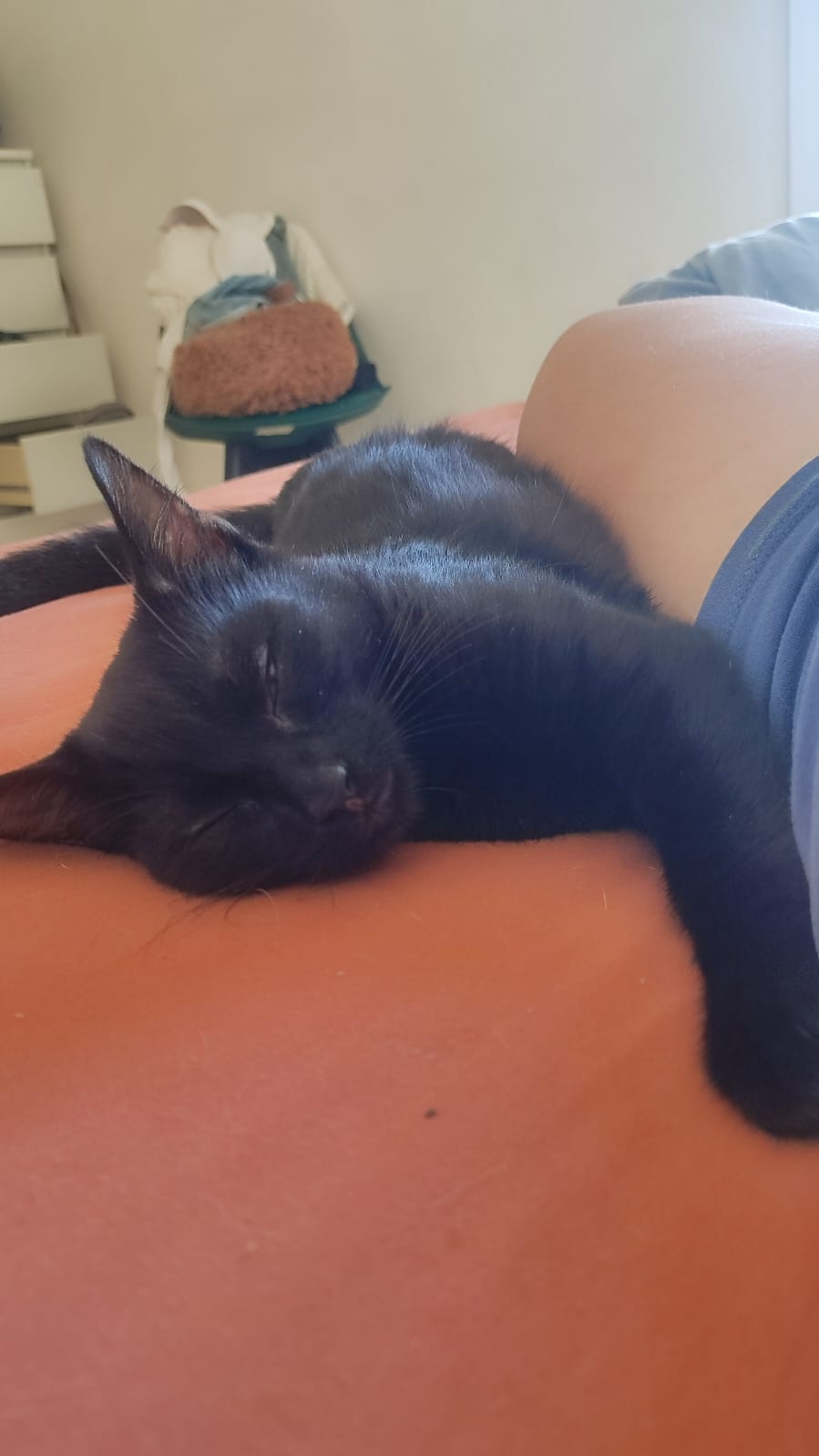 WhatsApp Image 2025-11-06 at 10.44.32