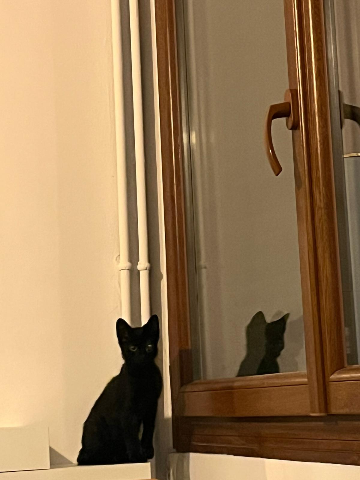 WhatsApp Image 2025-11-09 at 11.33.17