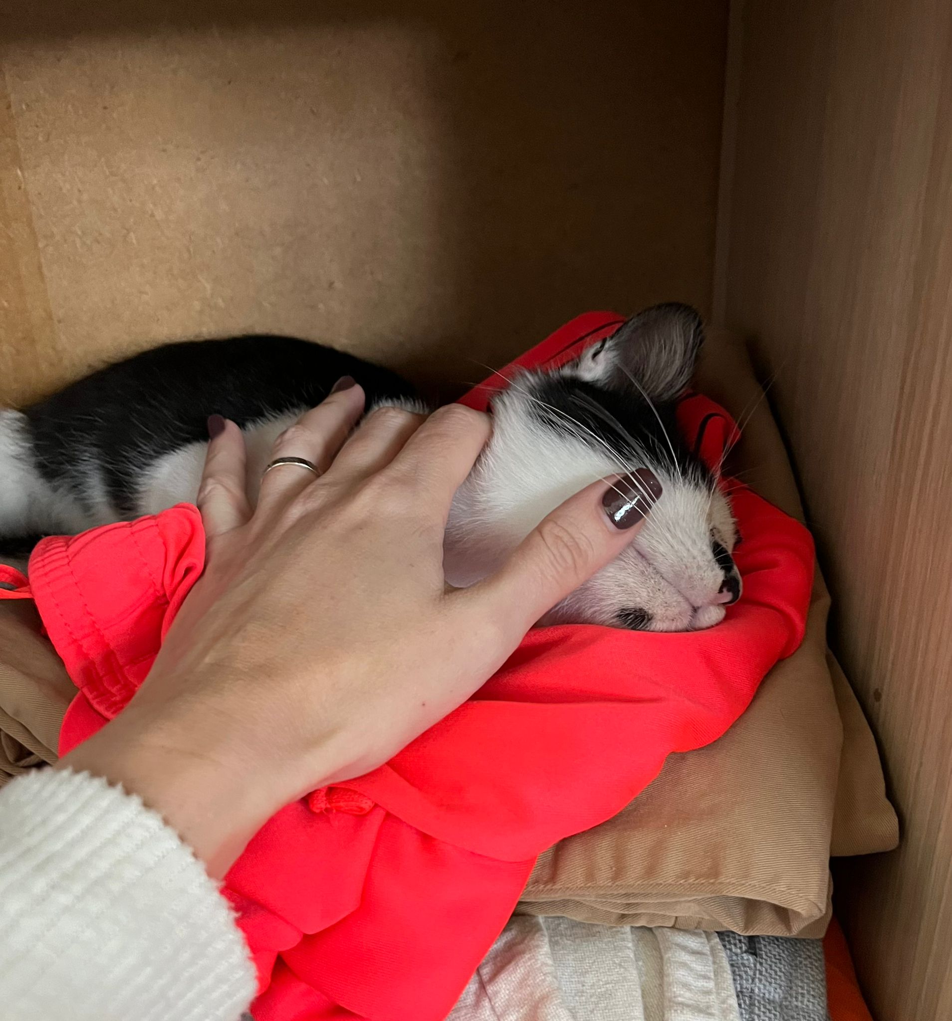 WhatsApp Image 2025-11-10 at 14.32.21