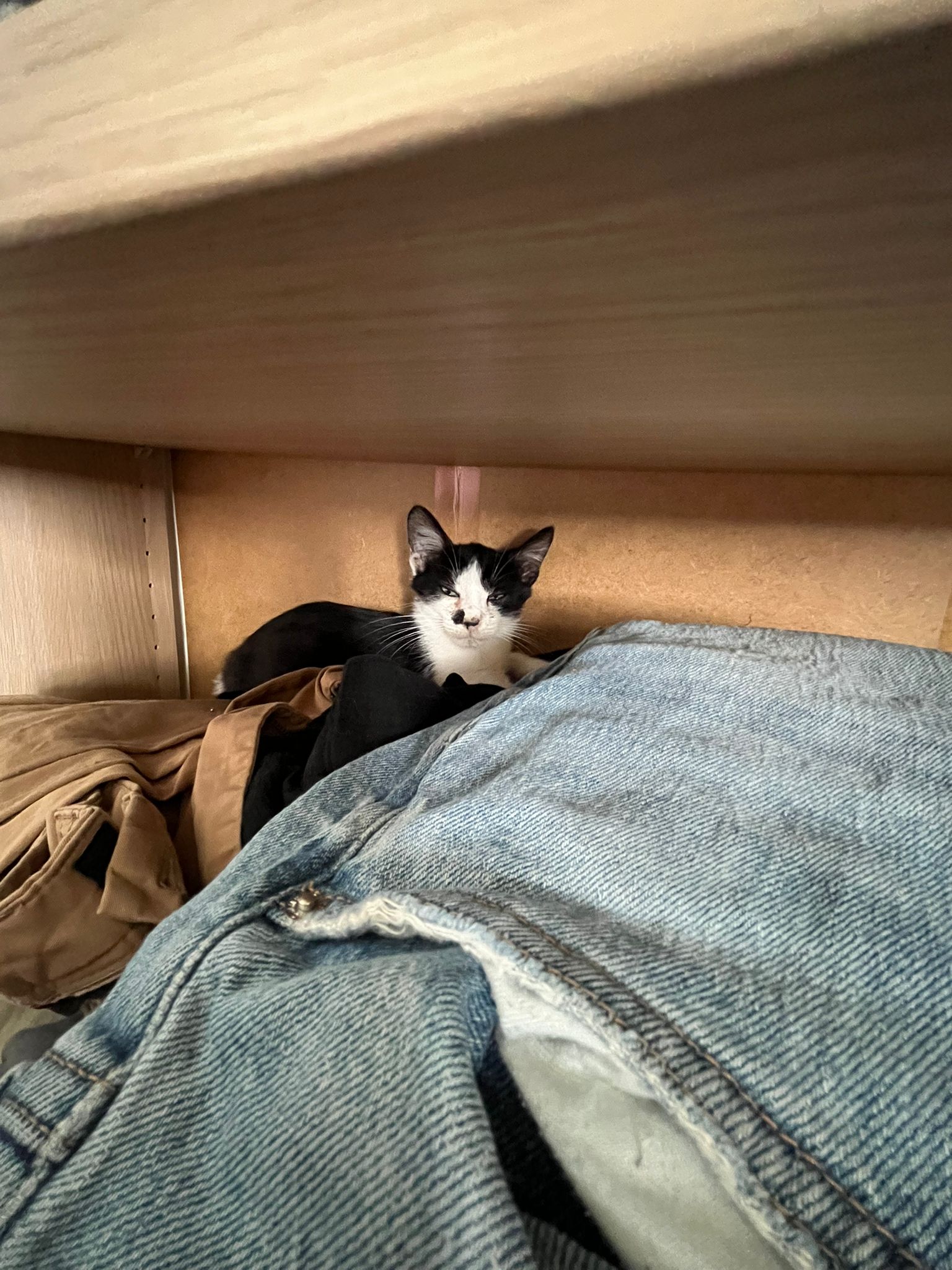 WhatsApp Image 2025-11-11 at 16.10.27 (1)