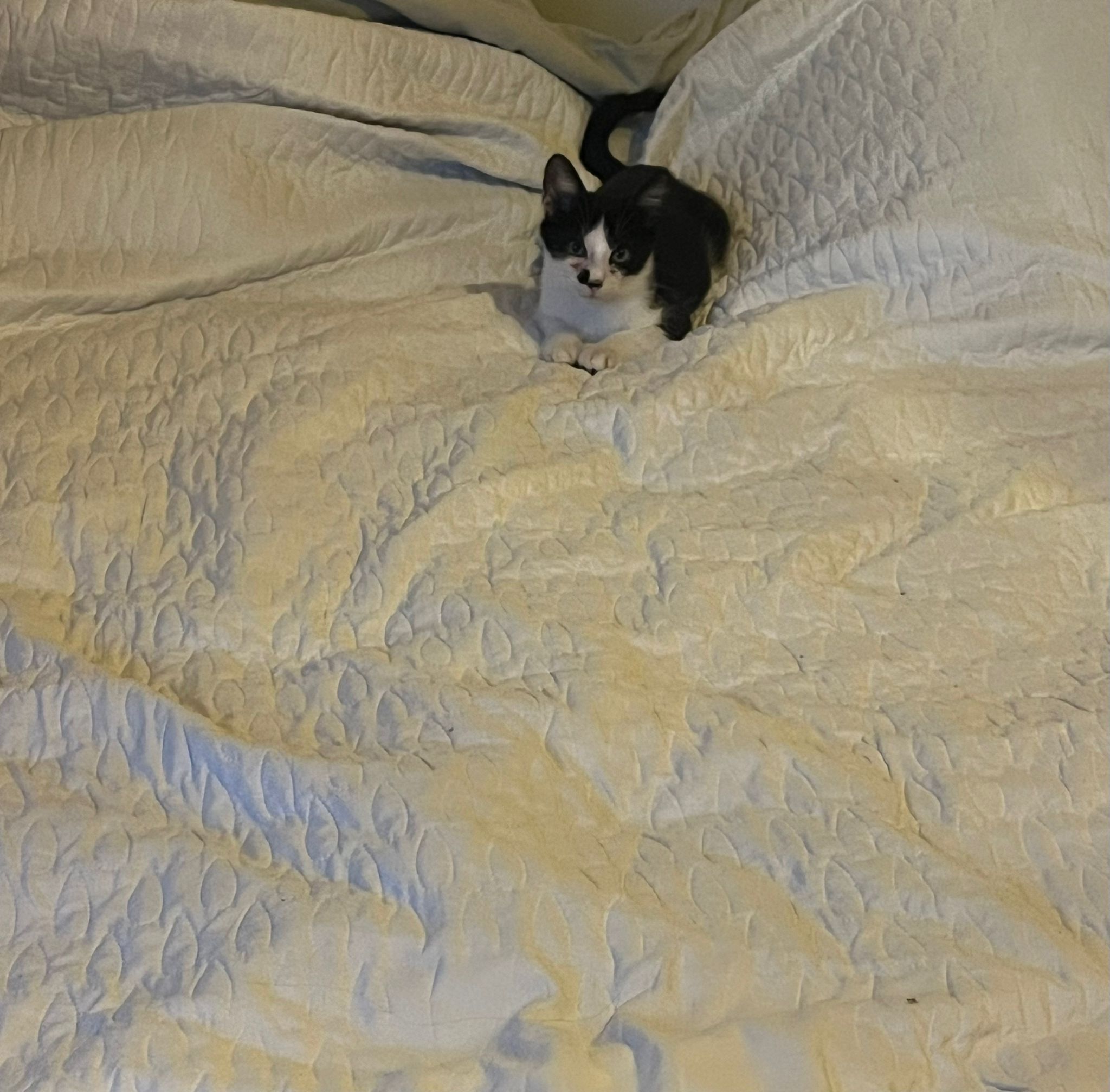 WhatsApp Image 2025-11-11 at 16.10.27 (2)