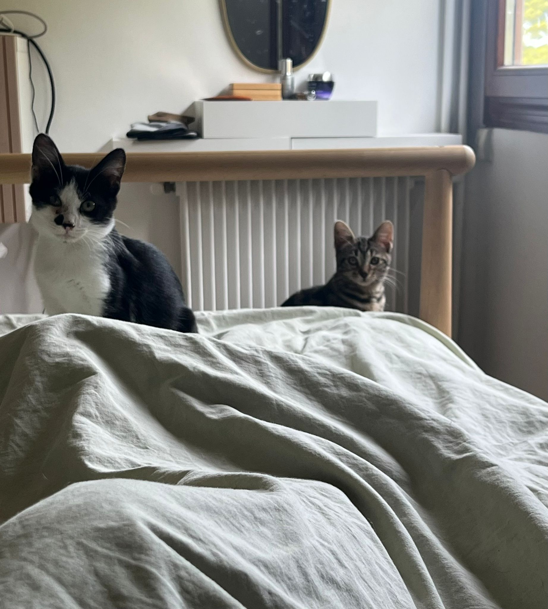 WhatsApp Image 2025-11-12 at 12.34.38 (1)