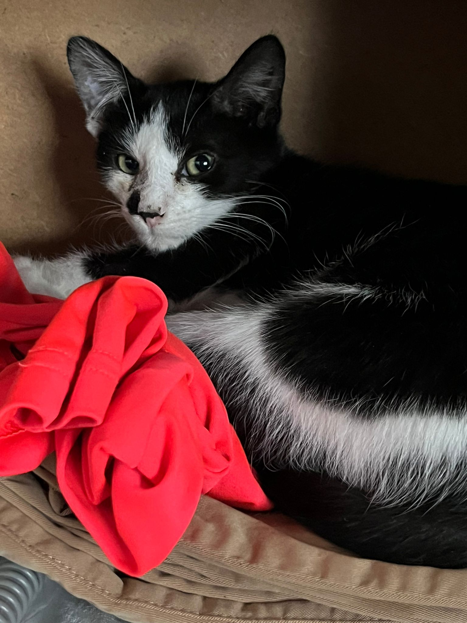 WhatsApp Image 2025-11-12 at 12.34.38 (2)