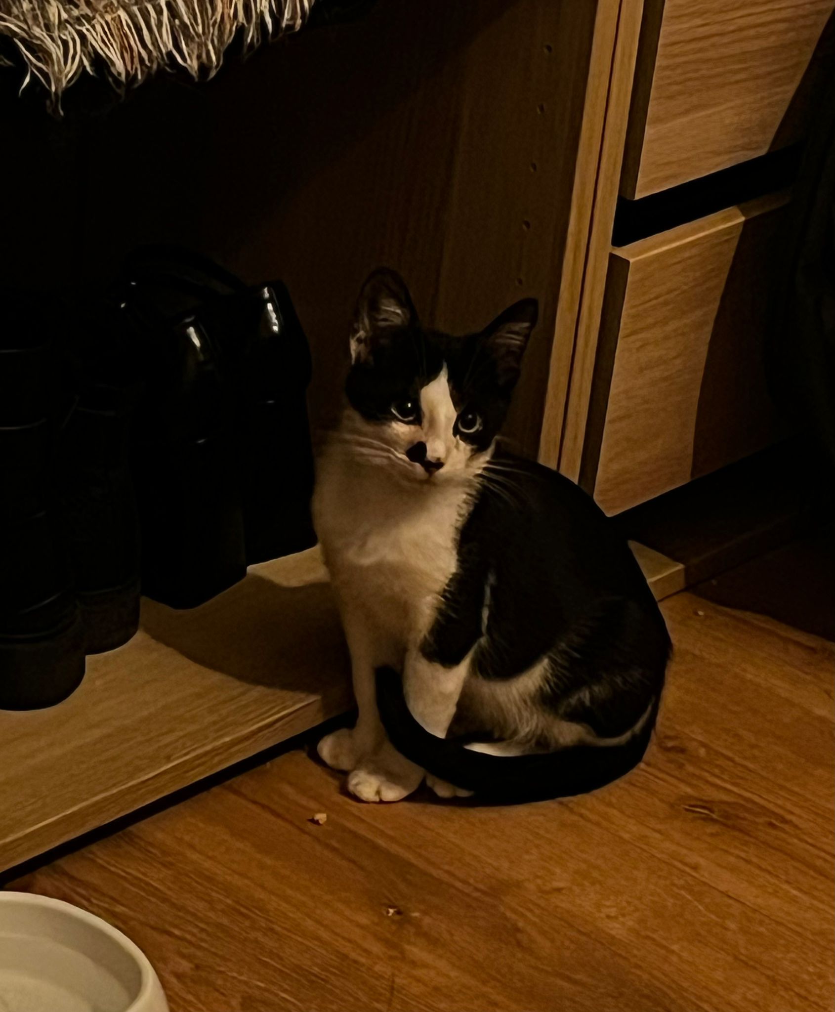 WhatsApp Image 2025-11-12 at 12.34.38 (3)