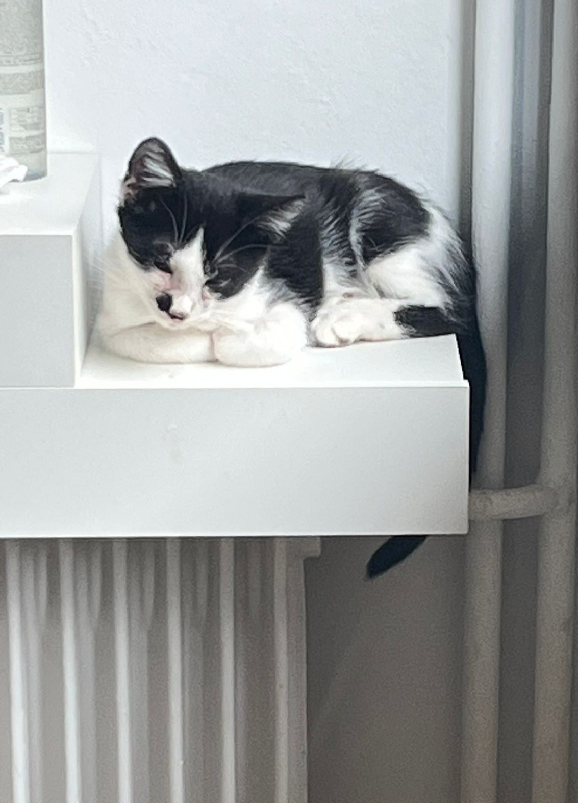 WhatsApp Image 2025-11-12 at 12.34.39 (2)