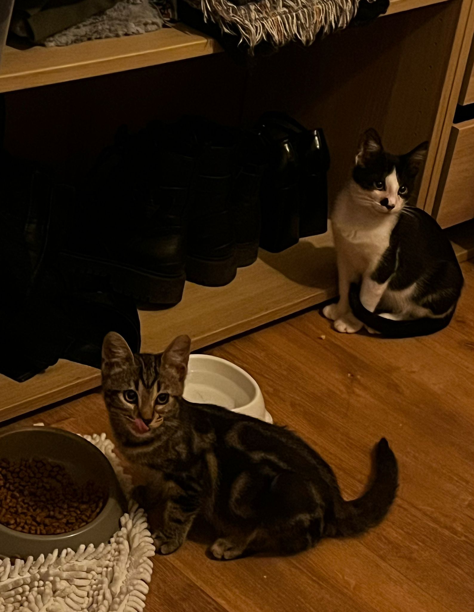 WhatsApp Image 2025-11-12 at 12.34.39