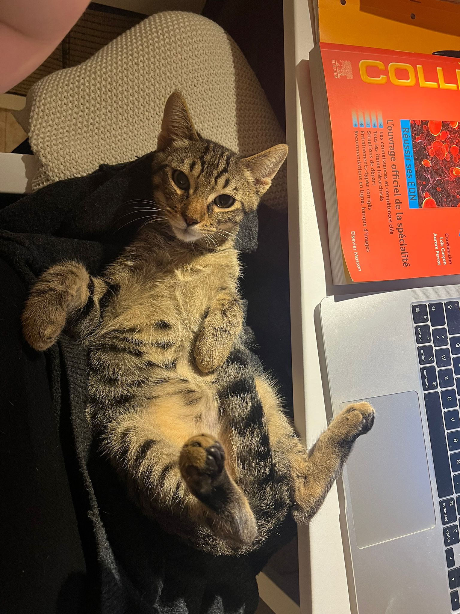 WhatsApp Image 2025-11-13 at 21.13.17 (2)