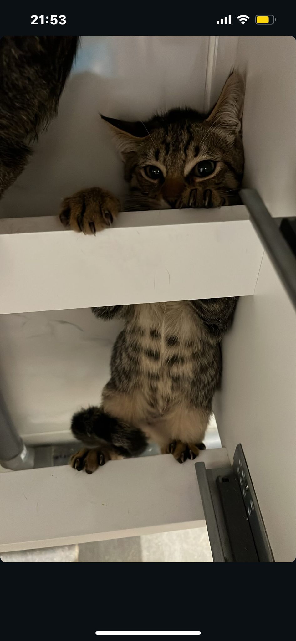 WhatsApp Image 2025-11-13 at 21.13.17 (3)