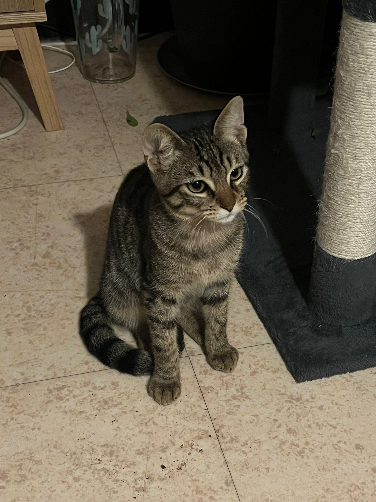 WhatsApp Image 2025-11-13 at 21.13.17