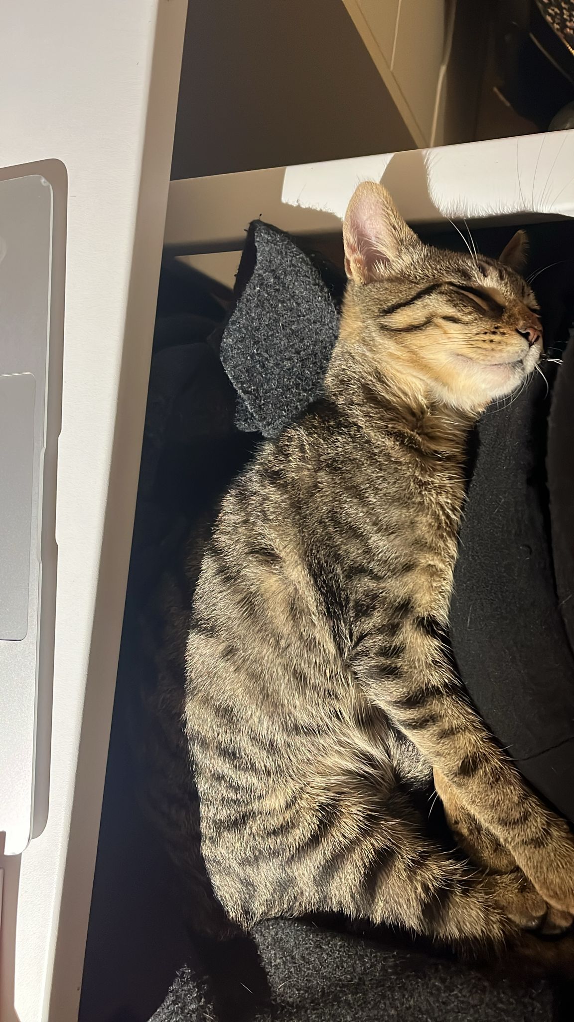 WhatsApp Image 2025-11-13 at 21.13.33