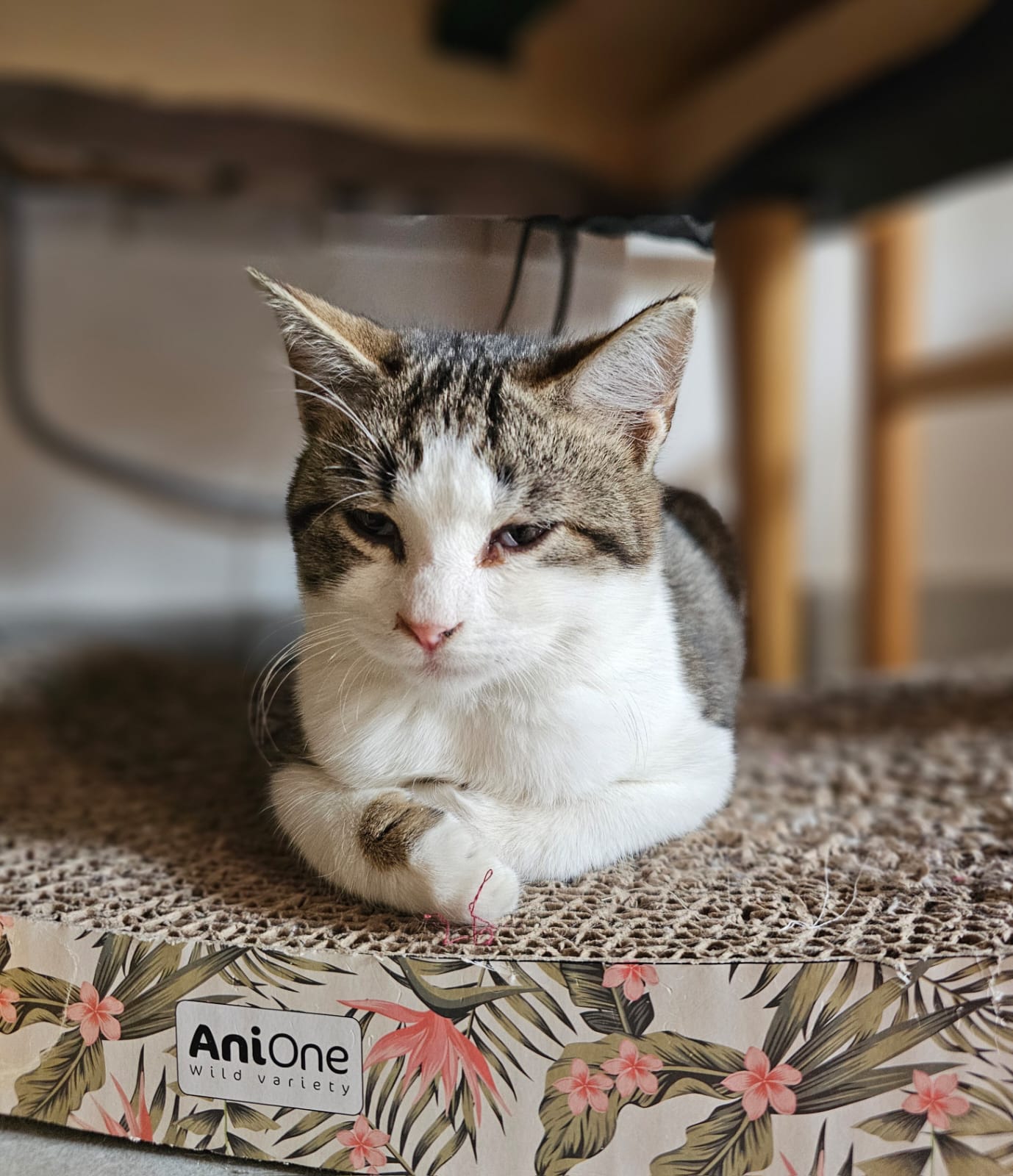 WhatsApp Image 2025-11-13 at 21.26.50 (1)