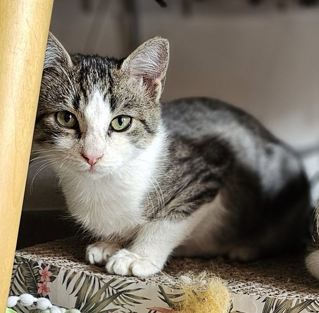 WhatsApp Image 2025-11-13 at 21.26.50 (2)