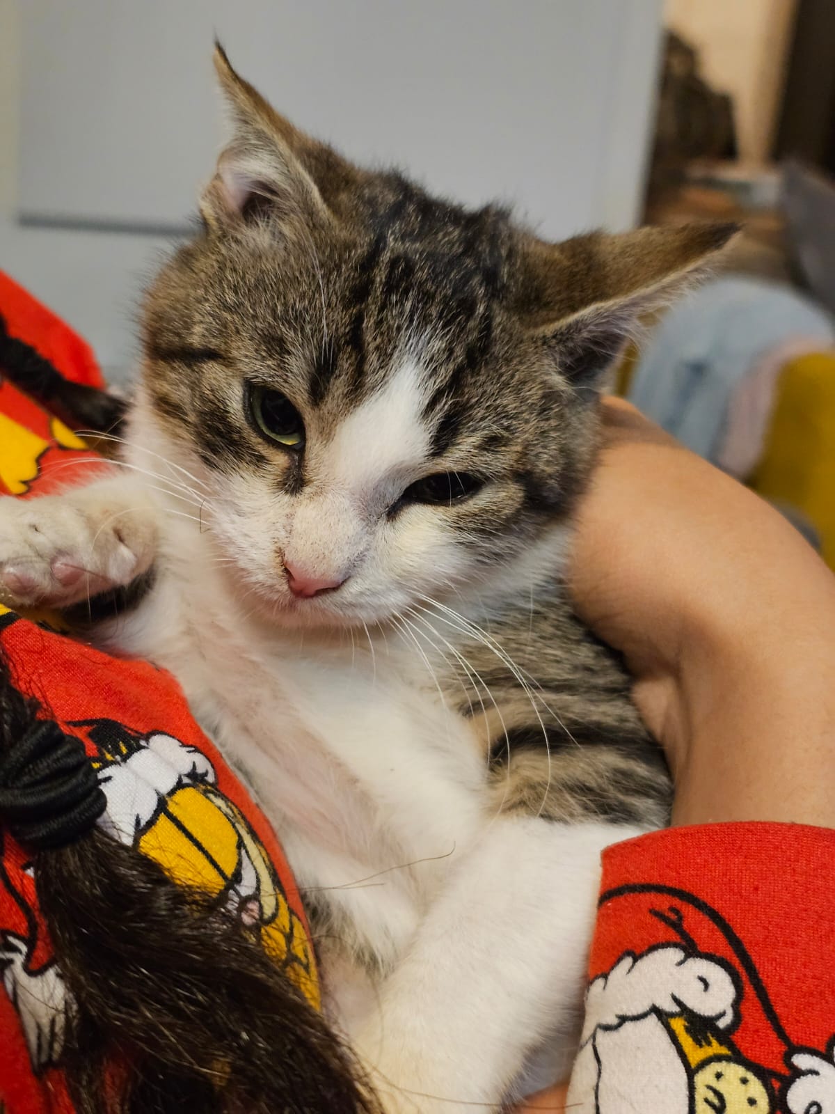 WhatsApp Image 2025-11-13 at 21.26.51