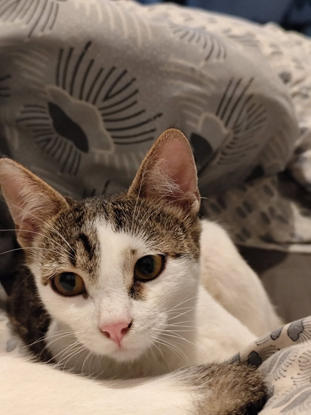 WhatsApp Image 2025-11-14 at 10.53.02 (3)