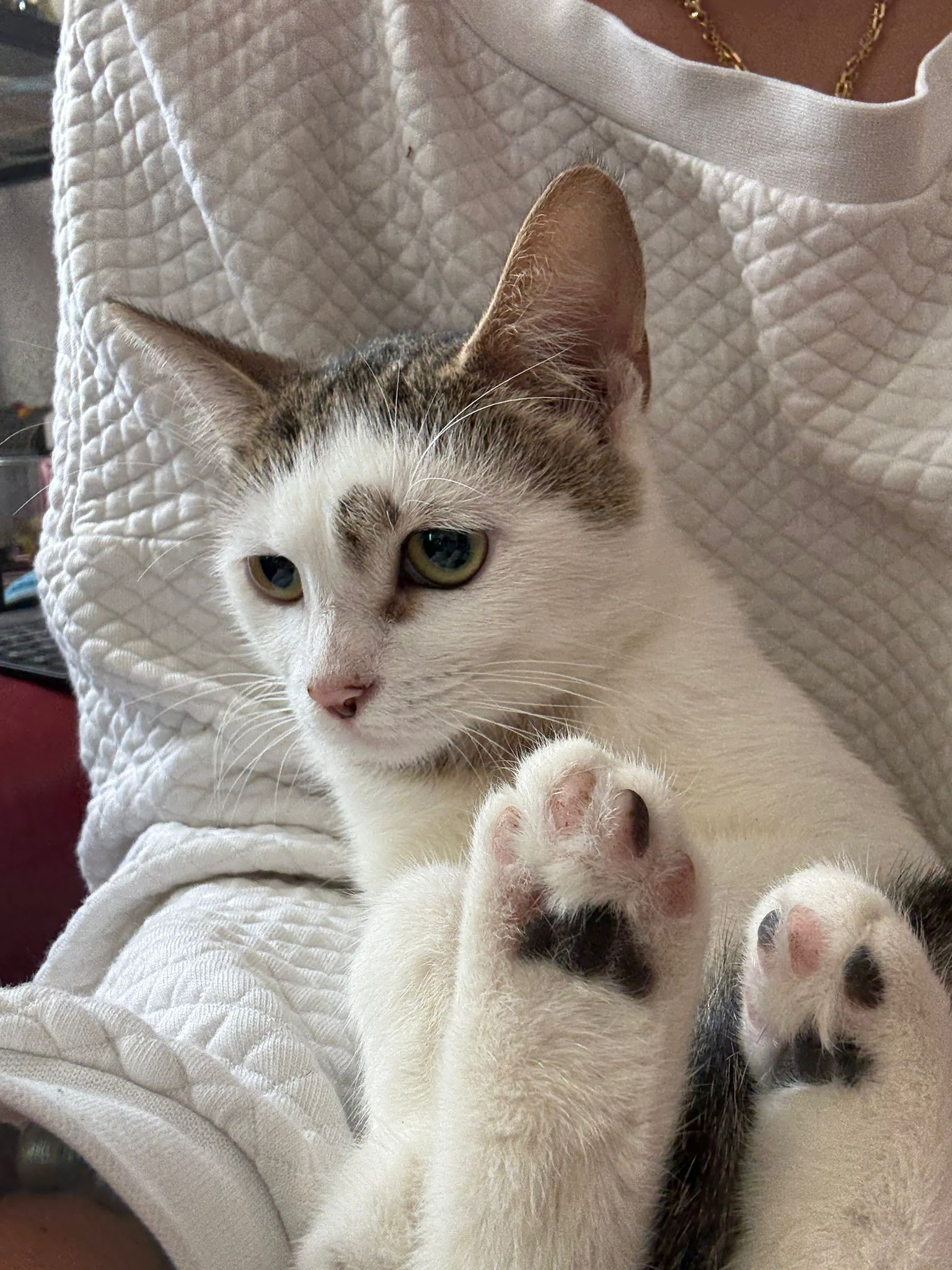 WhatsApp Image 2025-11-14 at 10.53.02 (9)