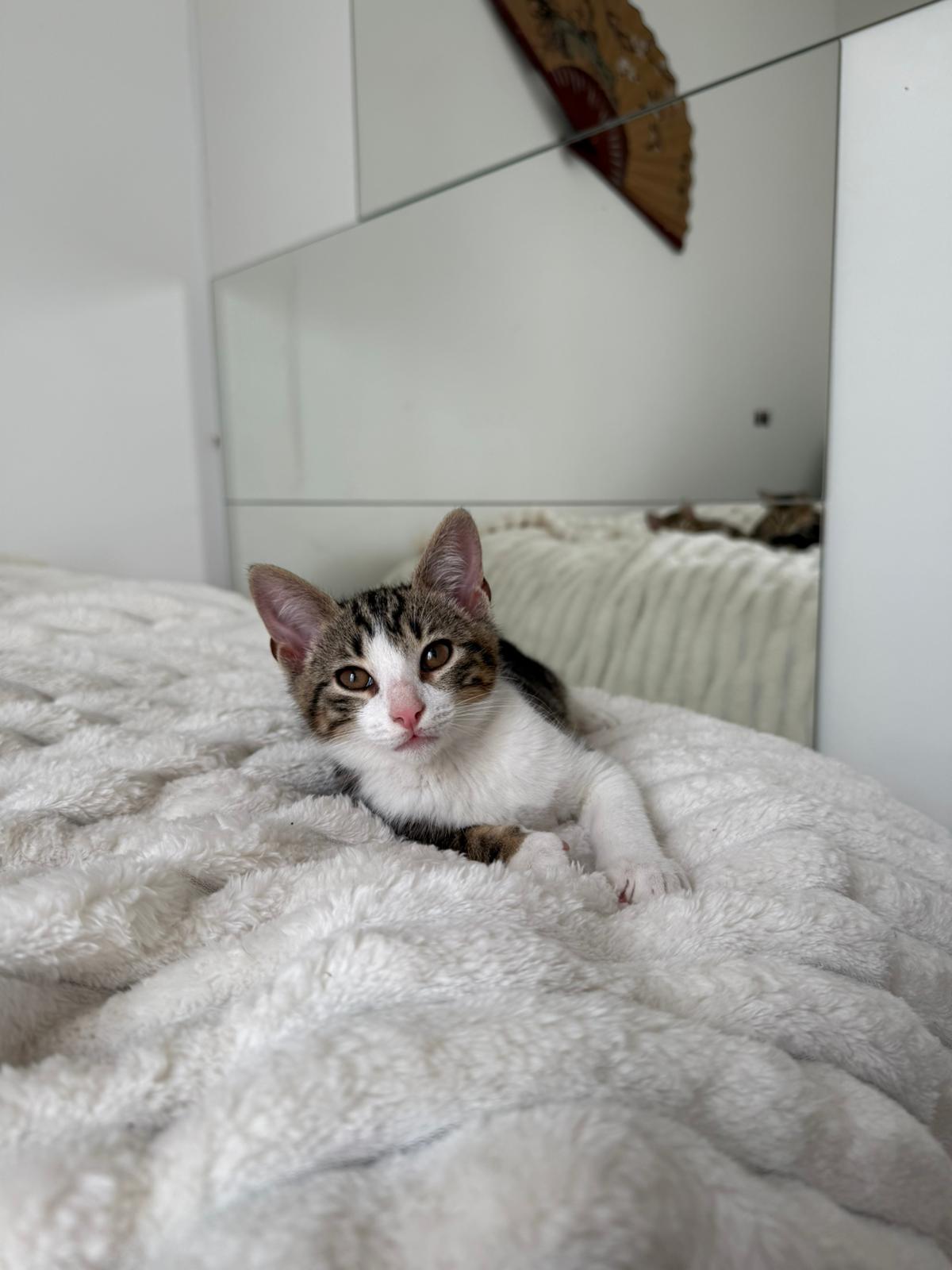 WhatsApp Image 2025-11-14 at 12.21.50