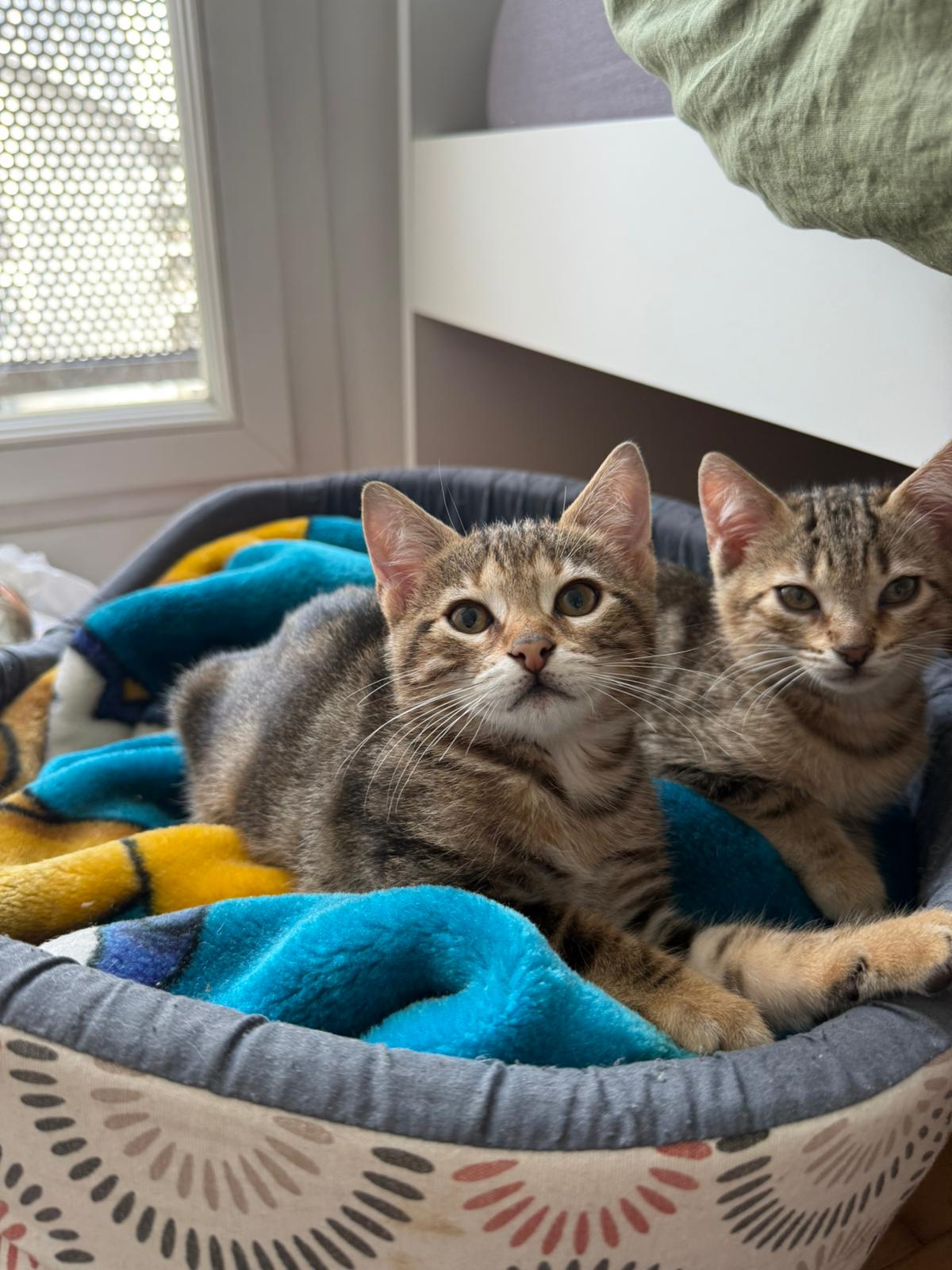 WhatsApp Image 2025-11-14 at 12.22.28 (1)