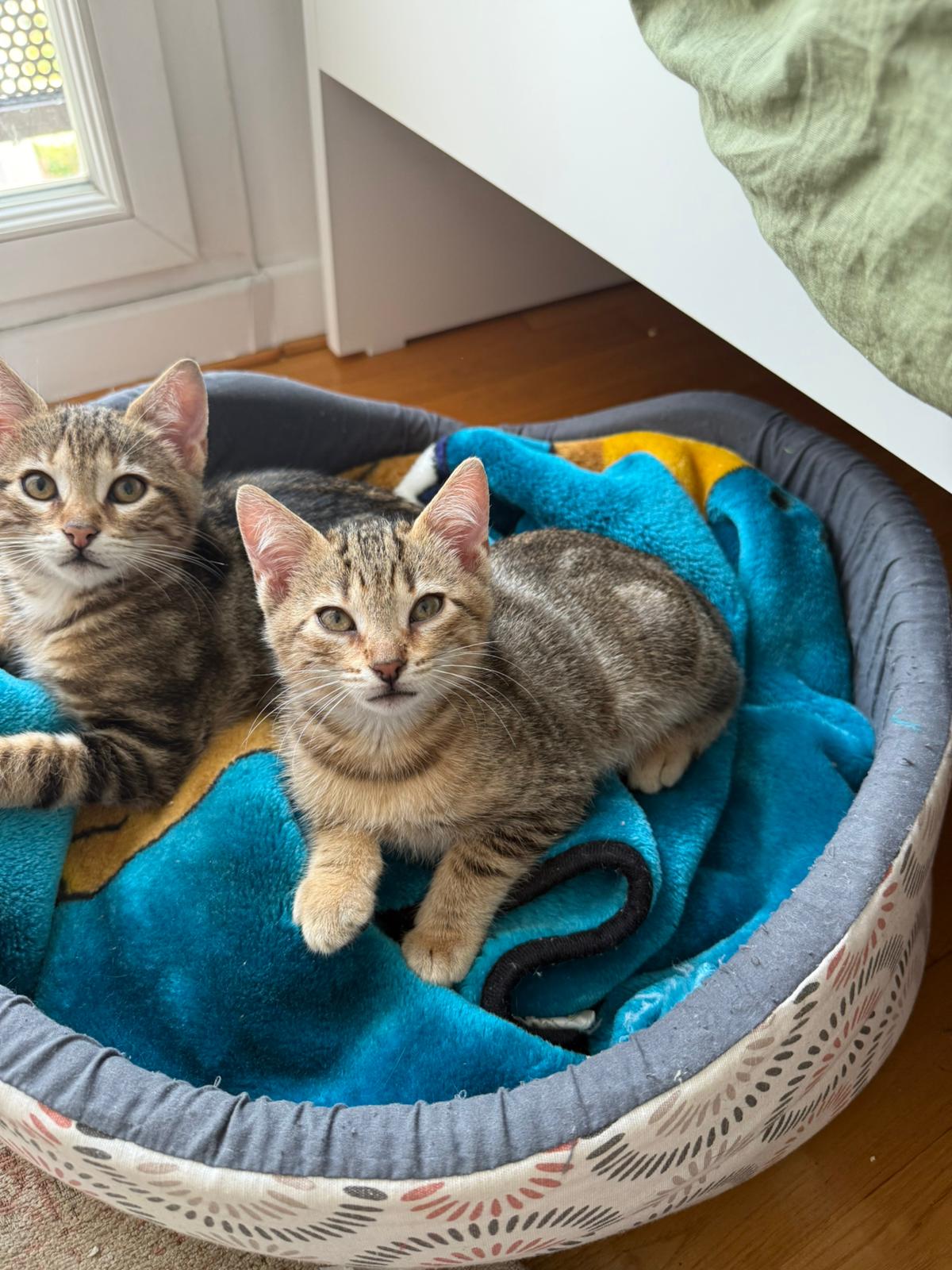 WhatsApp Image 2025-11-14 at 12.24.31 (1)