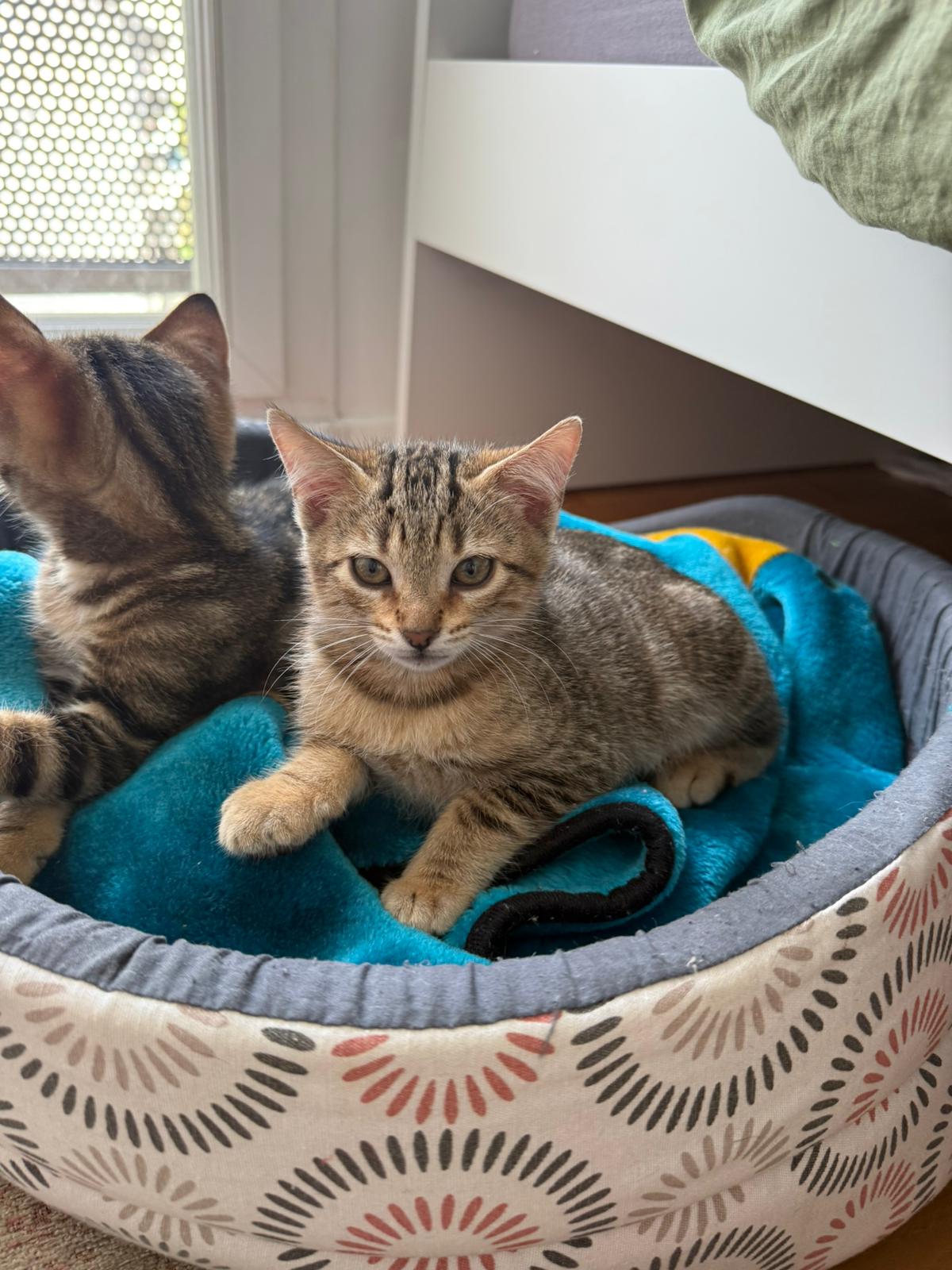 WhatsApp Image 2025-11-14 at 12.24.31