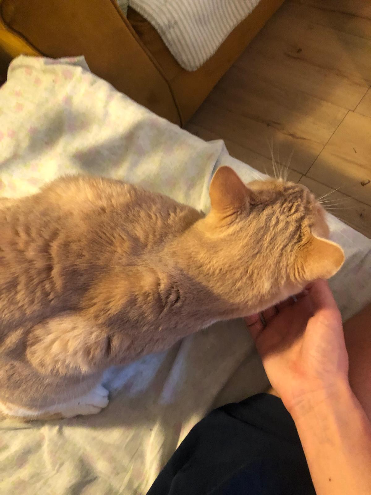 WhatsApp Image 2025-11-17 at 16.43.55 (1)