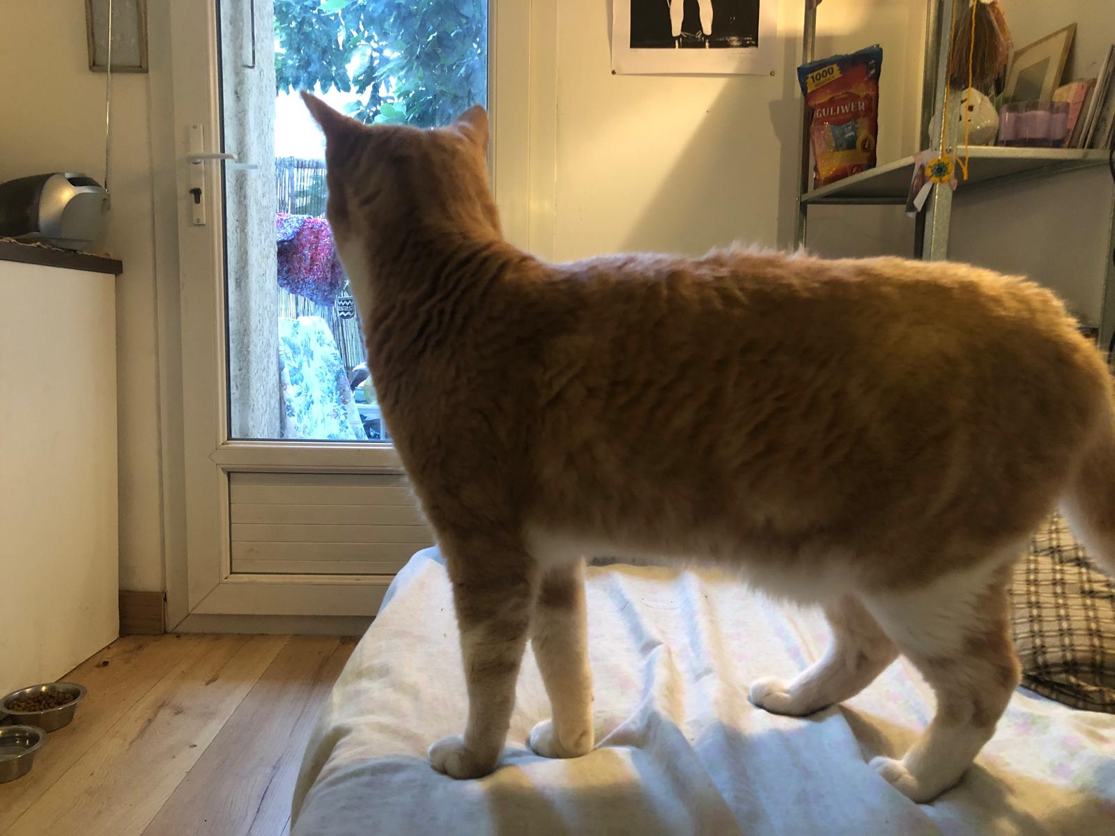 WhatsApp Image 2025-11-17 at 16.43.55 (2)