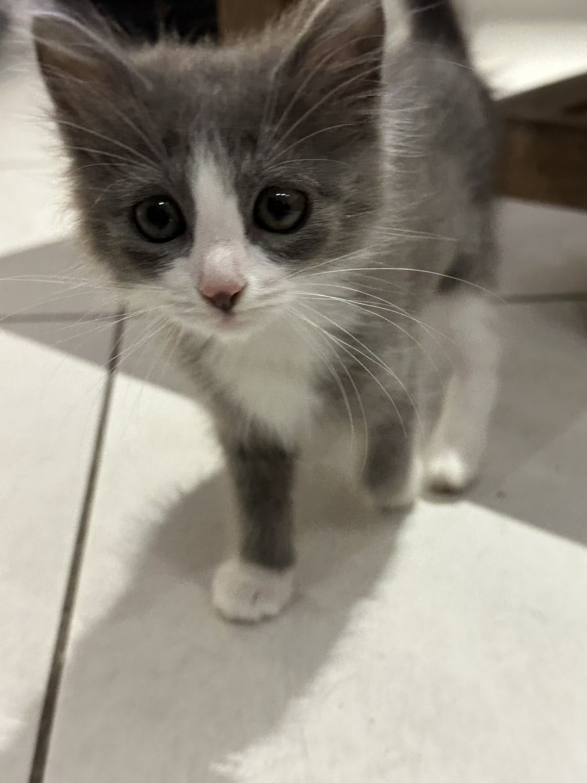 WhatsApp Image 2025-11-17 at 19.53.51 (1)