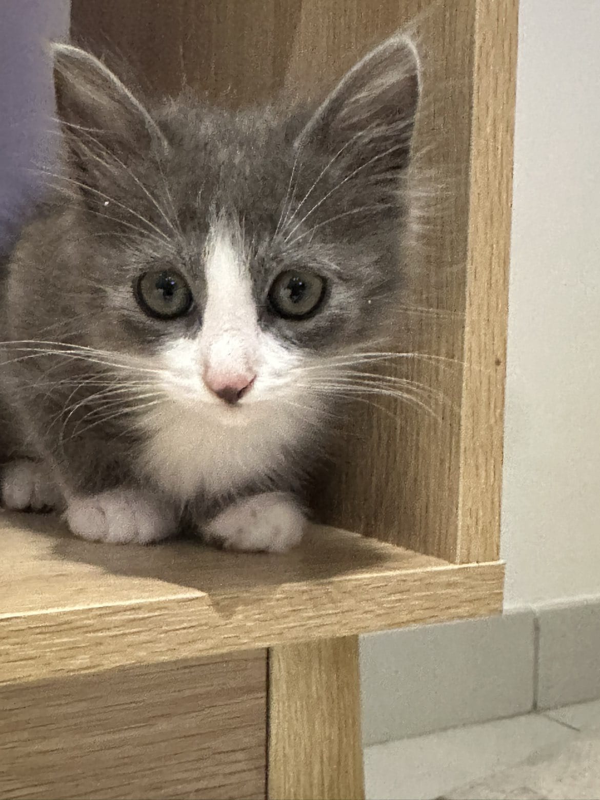 WhatsApp Image 2025-11-17 at 19.53.51