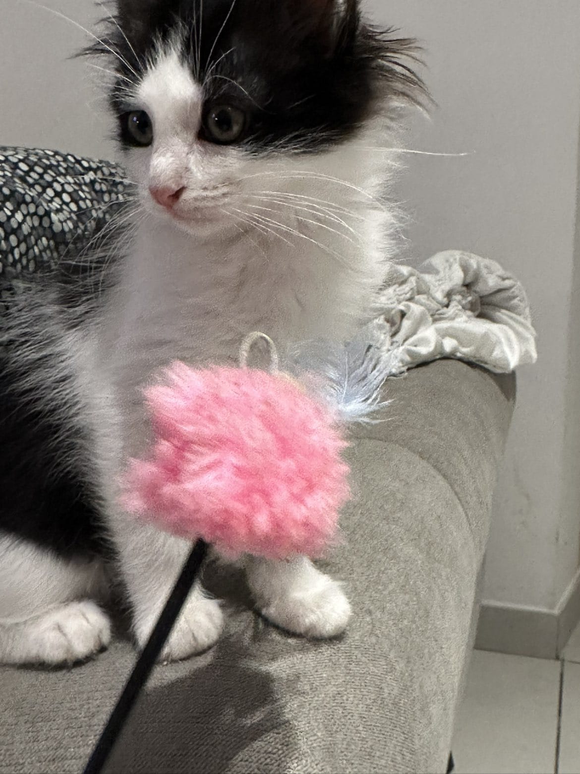 WhatsApp Image 2025-11-17 at 20.02.10