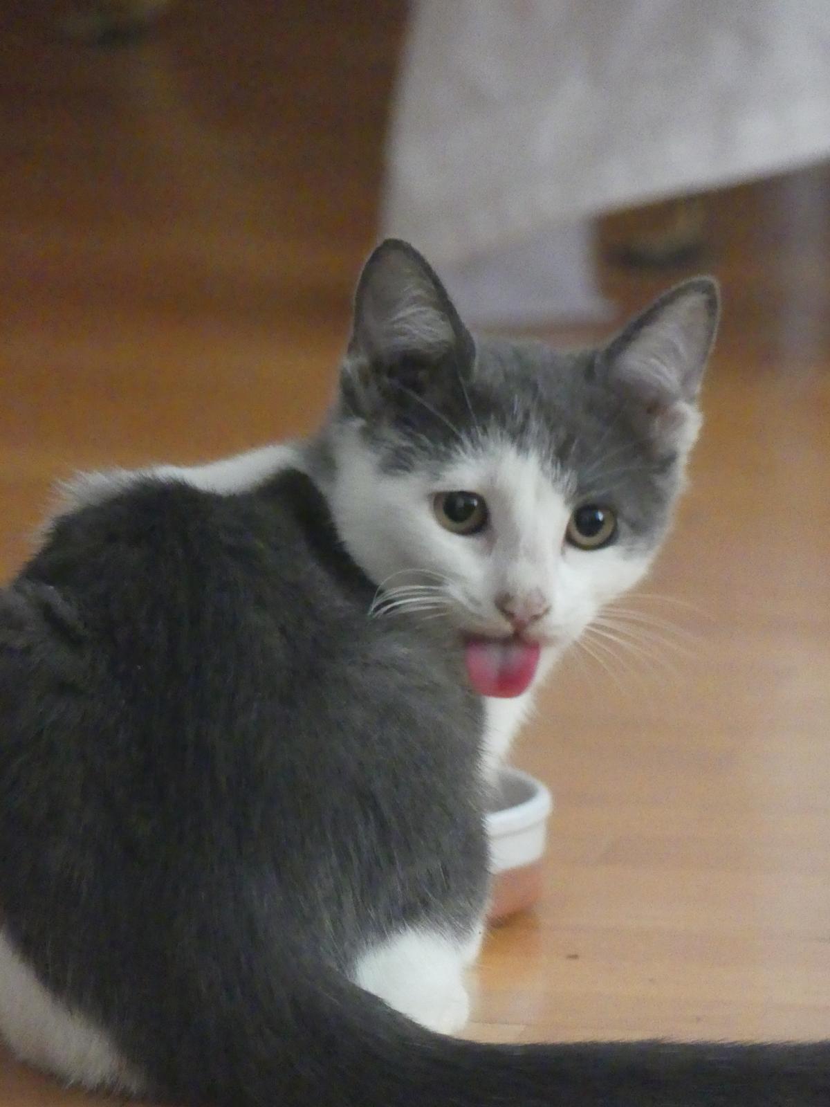 WhatsApp Image 2025-11-18 at 11.01.45