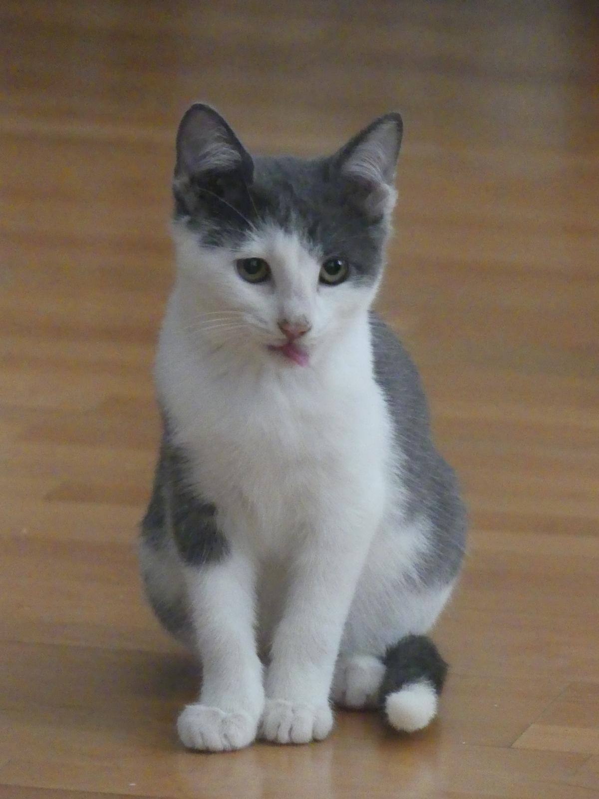 WhatsApp Image 2025-11-18 at 11.01.46 (1)