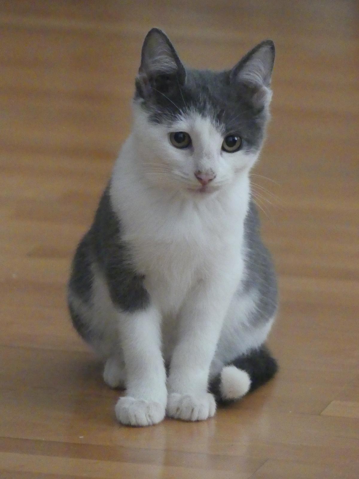 WhatsApp Image 2025-11-18 at 11.01.46 (2)