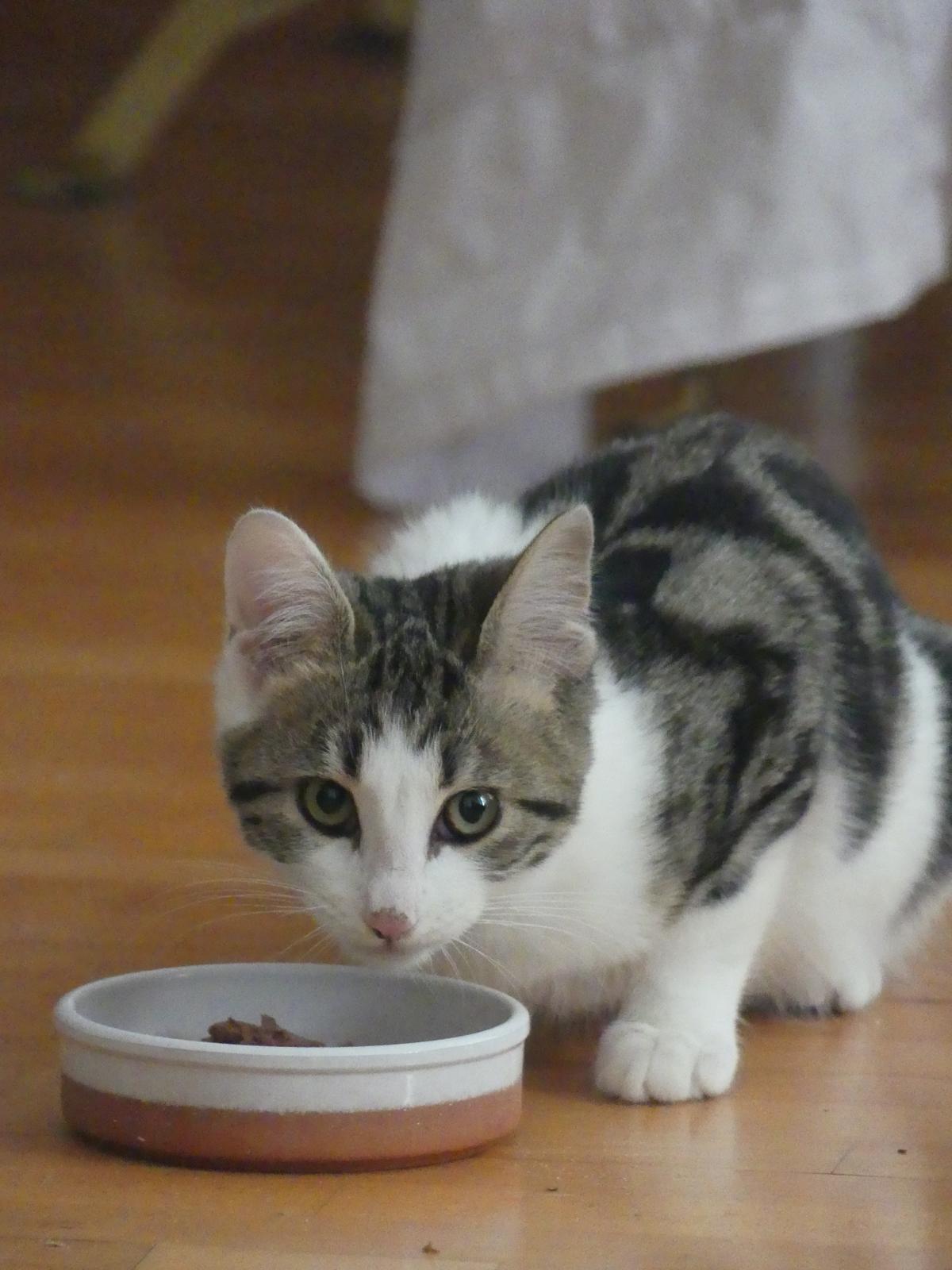 WhatsApp Image 2025-11-18 at 11.01.46 (3)