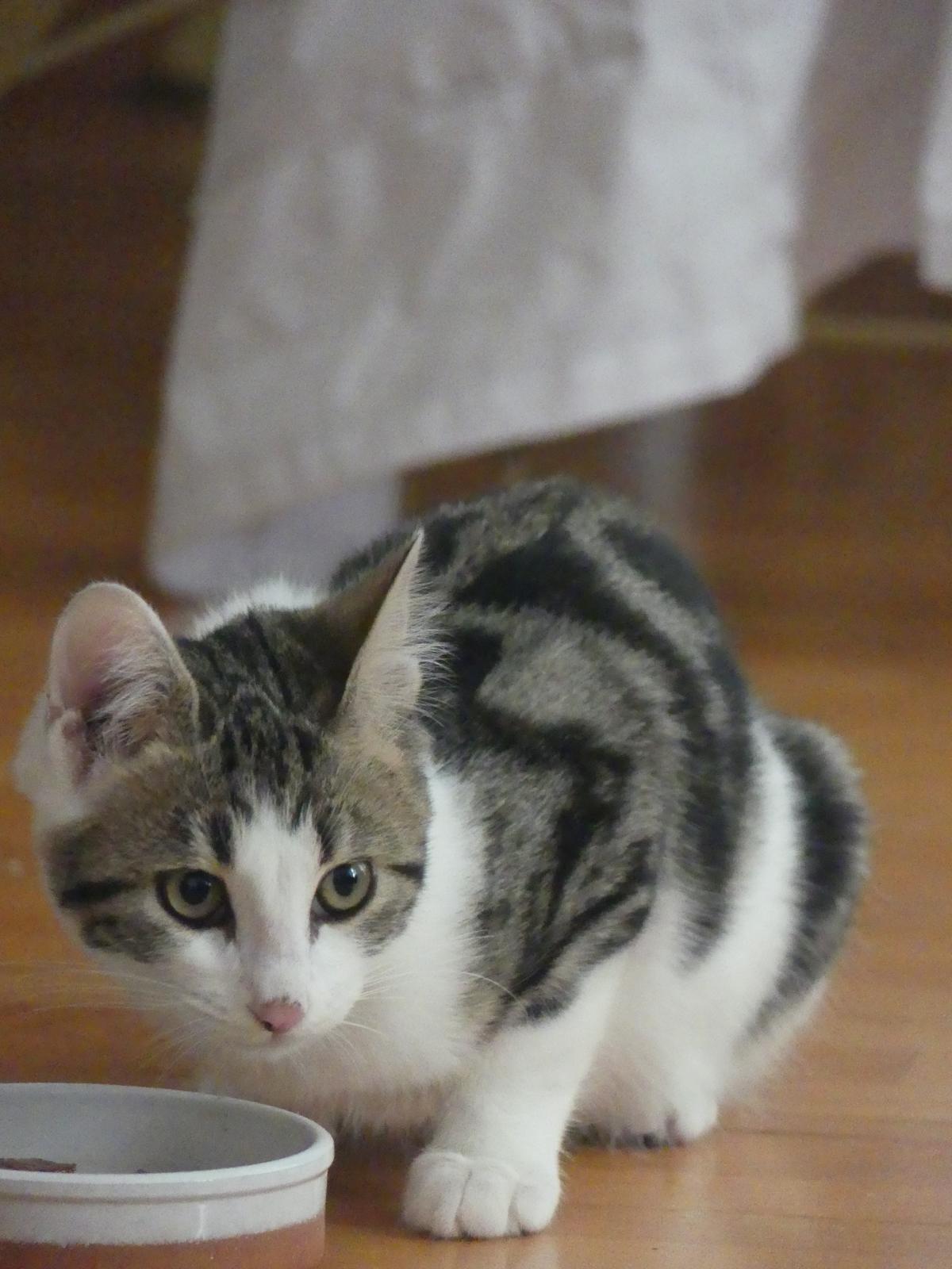 WhatsApp Image 2025-11-18 at 11.01.46 (4)