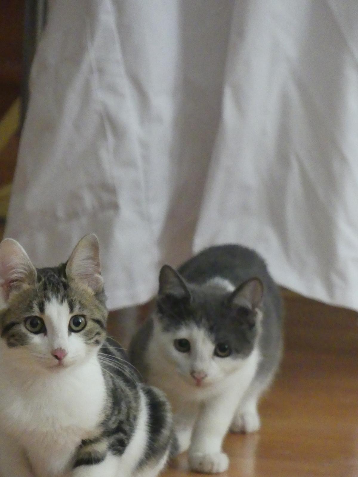 WhatsApp Image 2025-11-18 at 11.01.46 (5)