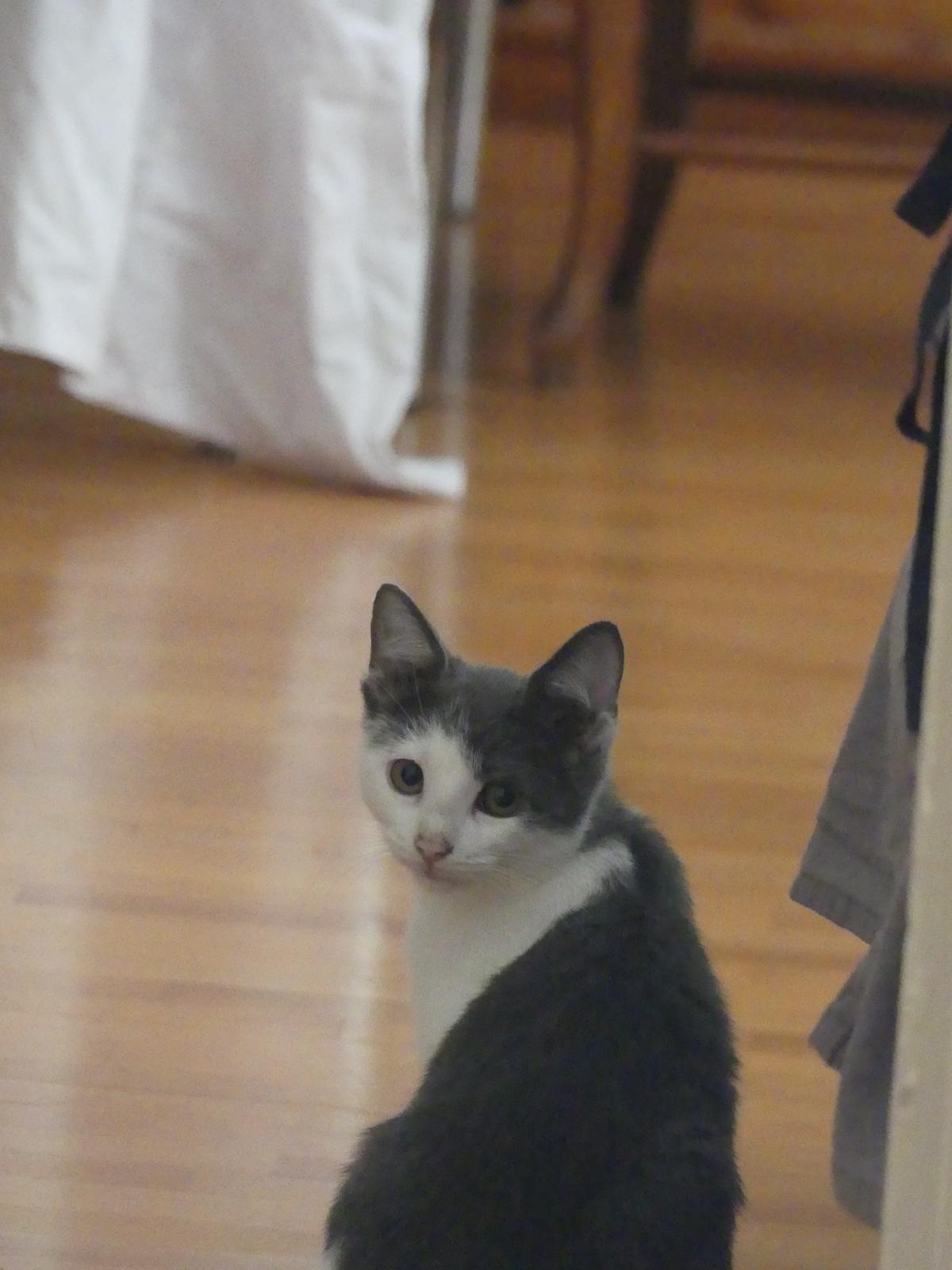 WhatsApp Image 2025-11-18 at 11.01.46 (6)