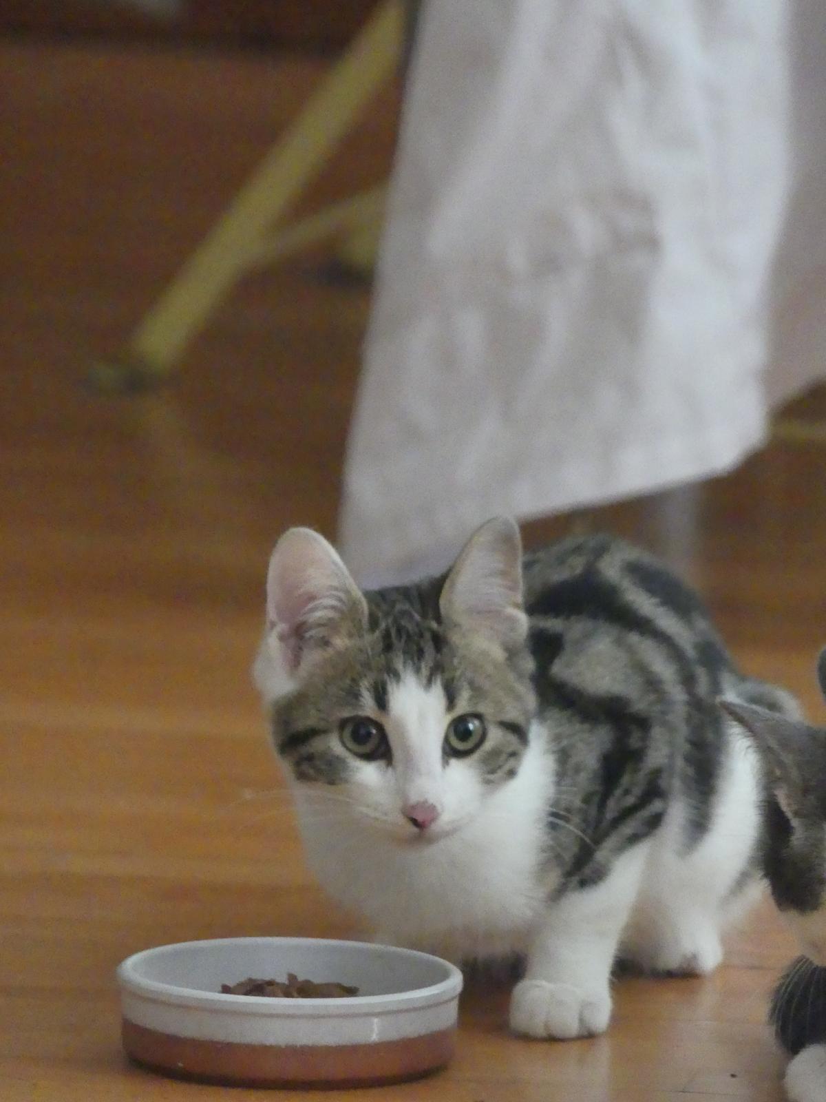 WhatsApp Image 2025-11-18 at 11.01.46