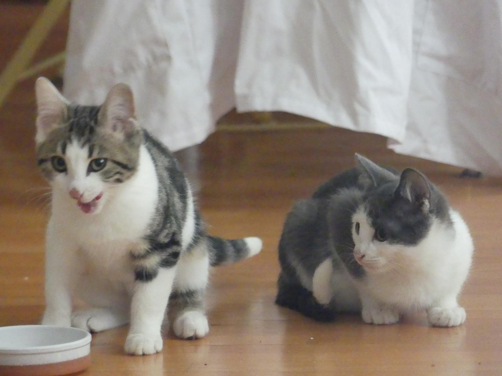 WhatsApp Image 2025-11-18 at 11.01.47 (1)