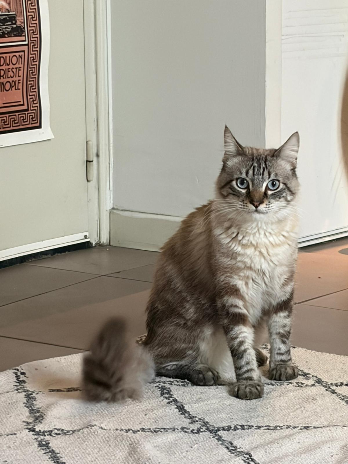 WhatsApp Image 2025-11-18 at 14.46.50