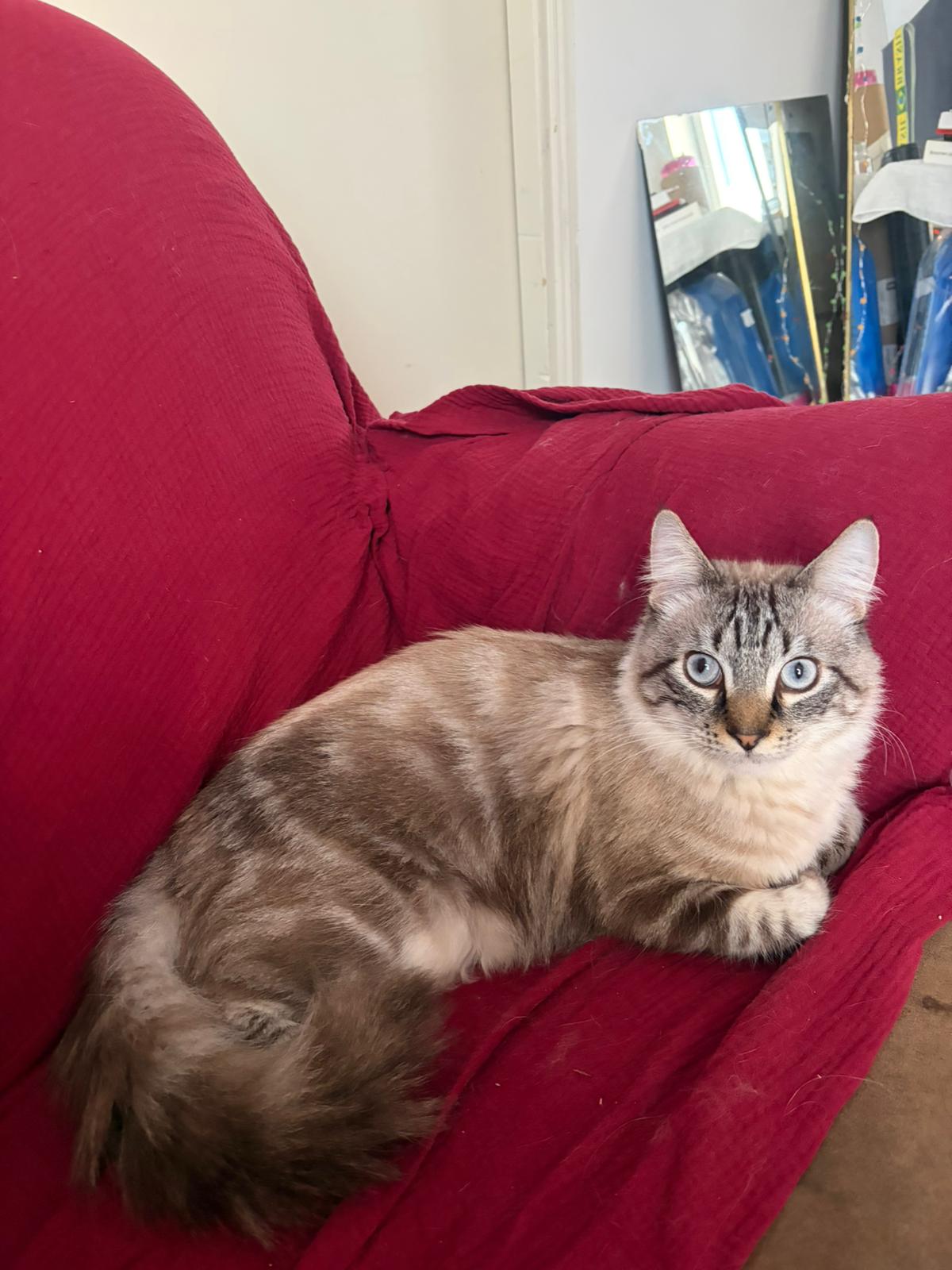 WhatsApp Image 2025-11-18 at 14.46.51