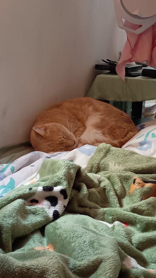 WhatsApp Image 2025-11-19 at 15.21.54