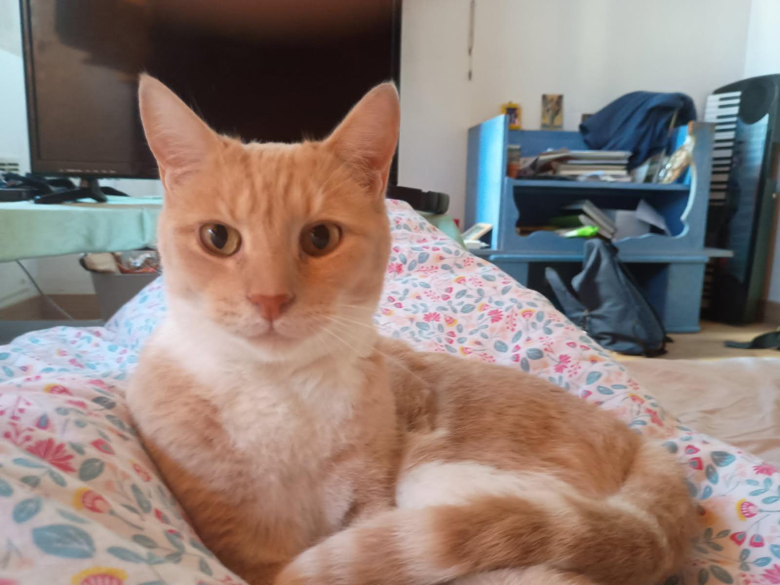 WhatsApp Image 2025-11-19 at 15.22.02