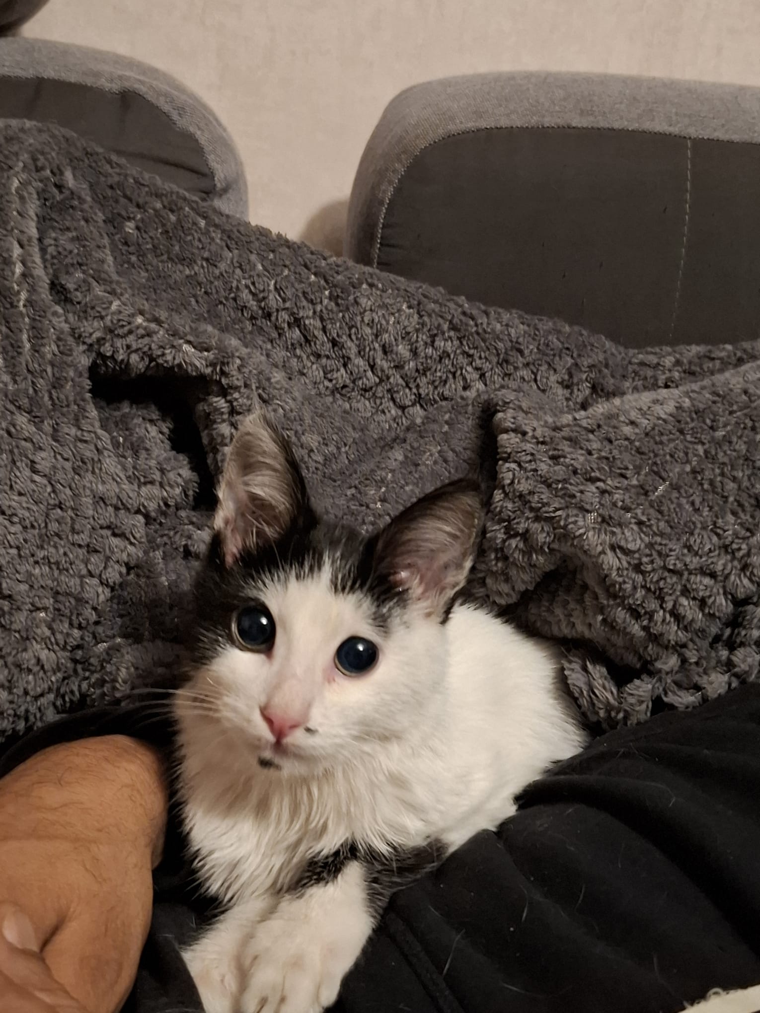 WhatsApp Image 2025-11-20 at 14.17.05