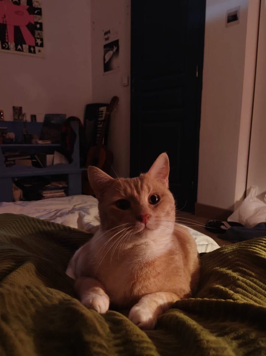 WhatsApp Image 2025-11-21 at 21.59.06