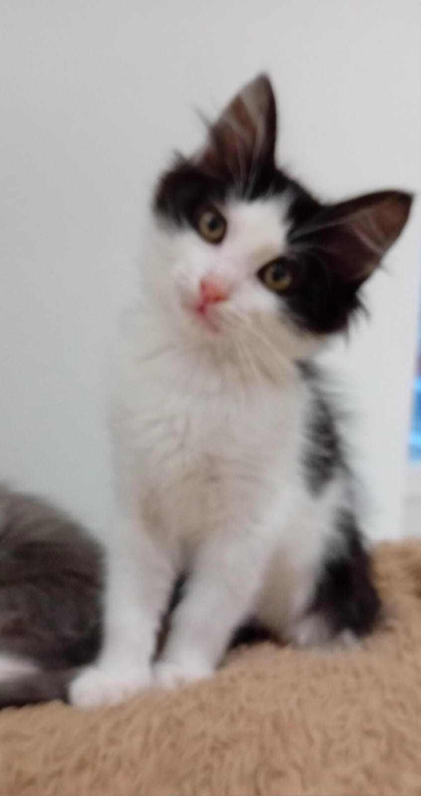 WhatsApp Image 2025-11-23 at 12.59.22