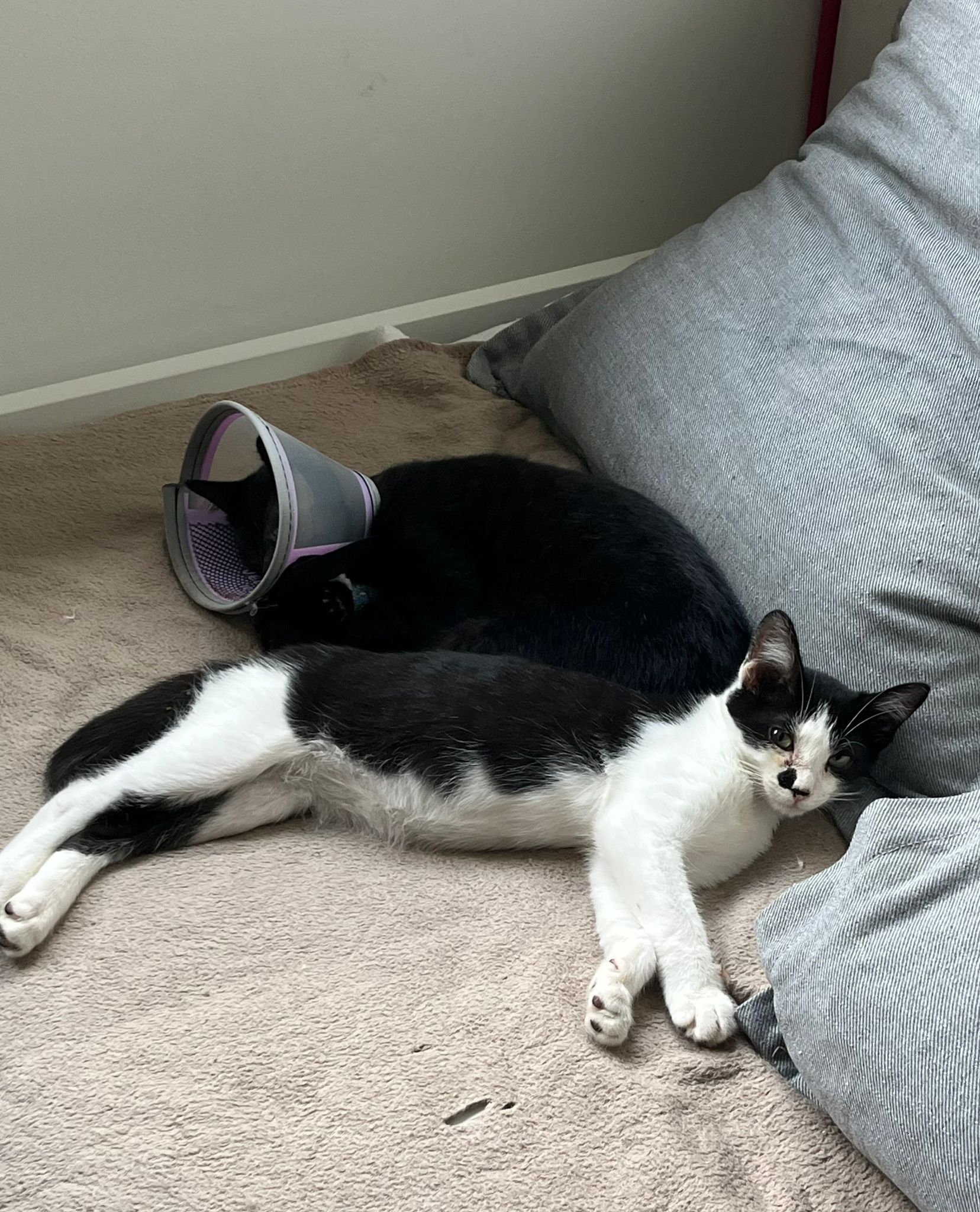 WhatsApp Image 2025-11-24 at 20.11.06 (1)