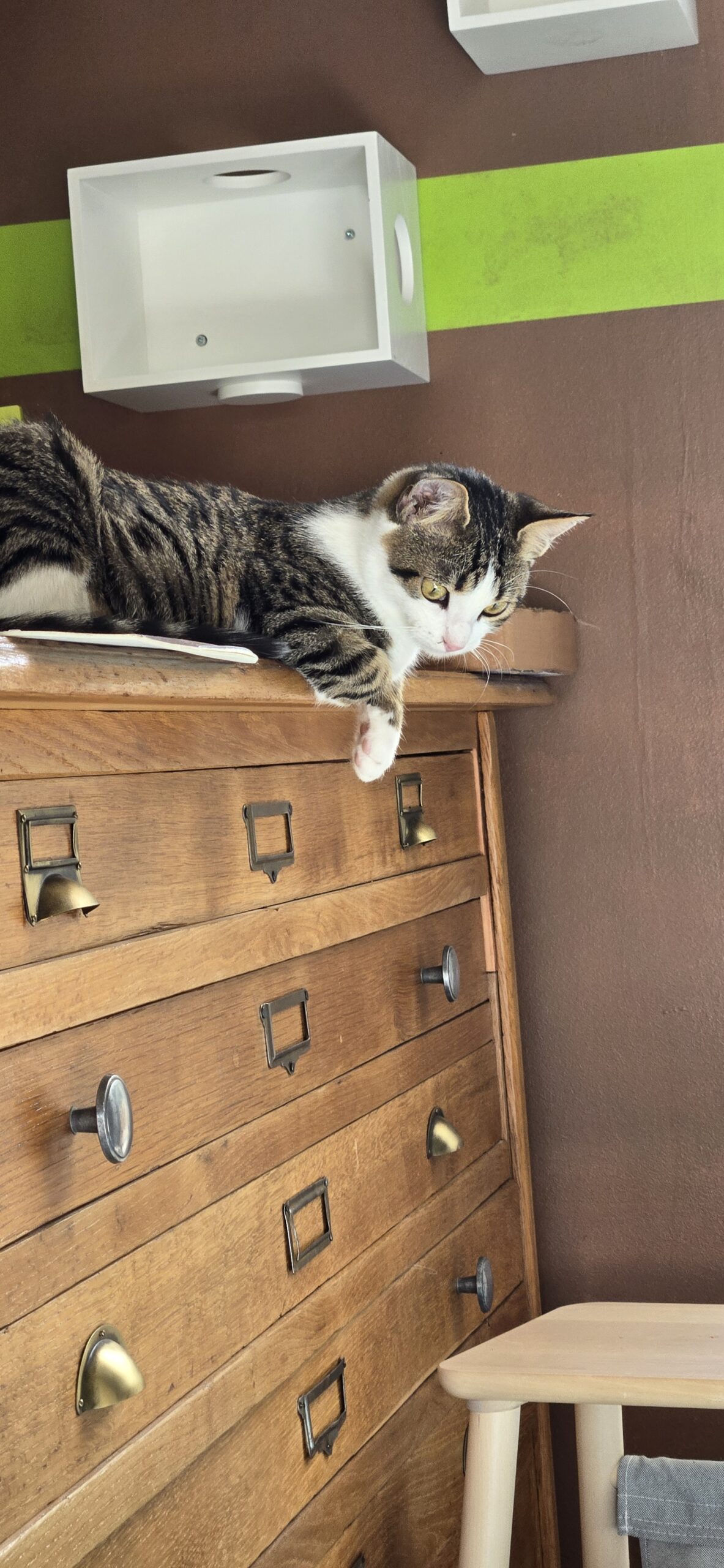 aa32a678-6261-4452-b9ca-49ccb1daf84c-copied-media~2