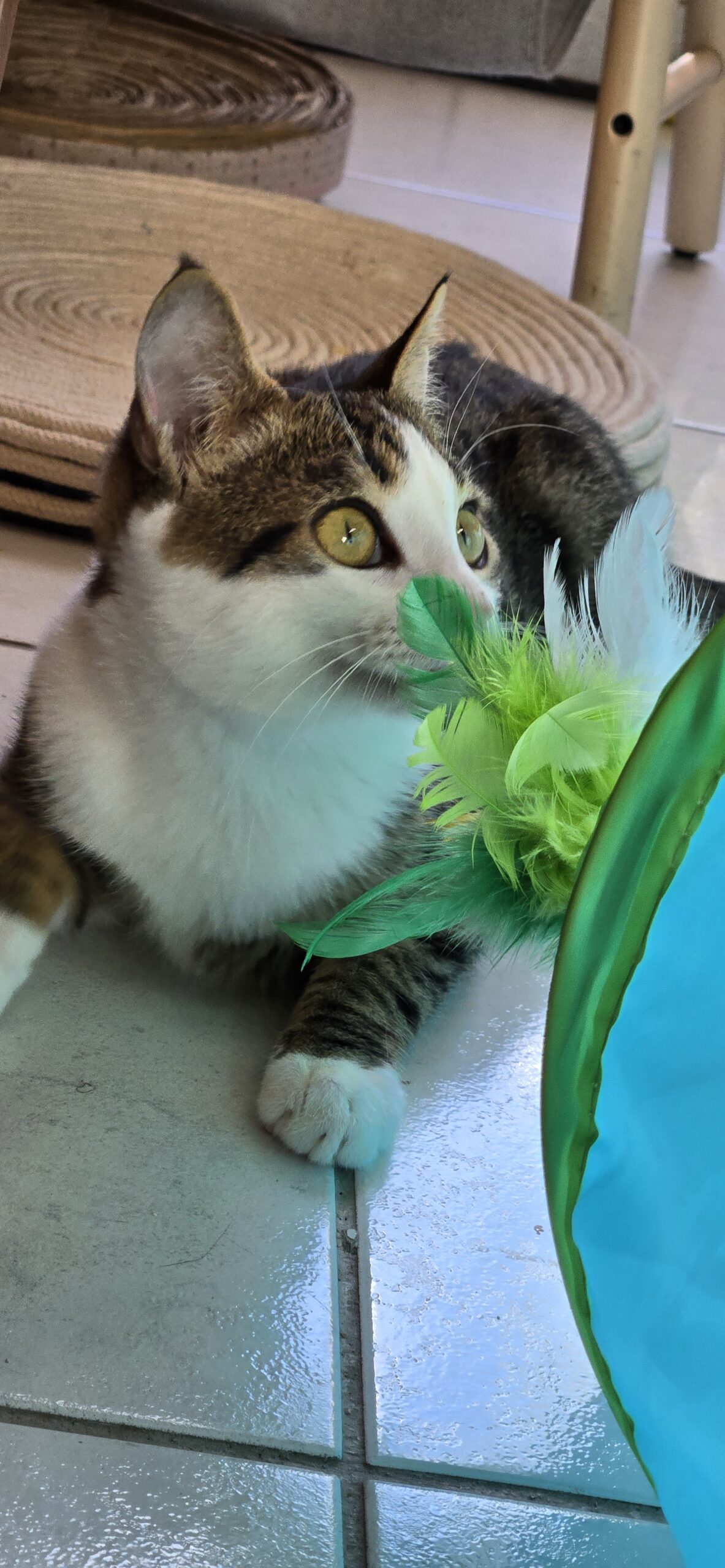 fd935696-db27-4e6c-aac7-72112b06ca08-copied-media~2